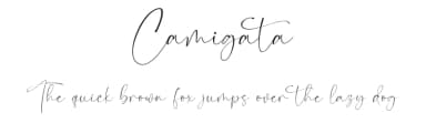 Camigata by Dav studio — Script Handwritten Font — thumbnail 1