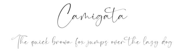 Camigata by Dav studio — Script Handwritten Font