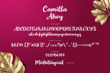 Camilla Ahoy Font by Grezline Studio — Script Handwritten Font — thumbnail 6