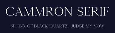 Cammron Serif by creativetacos — Serif Font — thumbnail 2