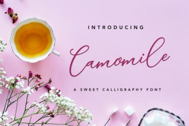 Camomile Script Font by petertype — Script Handwritten Font — thumbnail 1