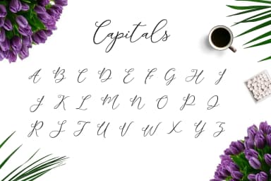 Camomile Script Font by petertype — Script Handwritten Font — thumbnail 2