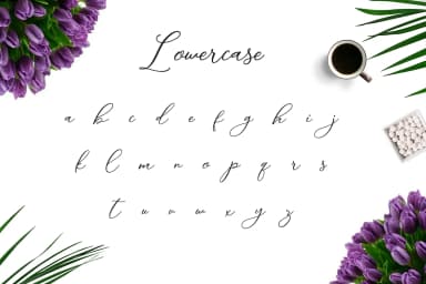 Camomile Script Font by petertype — Script Handwritten Font — thumbnail 3