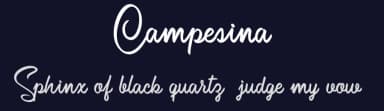 Campesina by Billy Argel Fonts ® — Script Handwritten Font — thumbnail 2