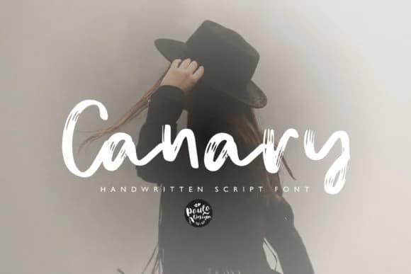 Canary Font by Studio_Art — Script Handwritten Font