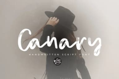 Canary Font by Studio_Art — Script Handwritten Font — thumbnail 1