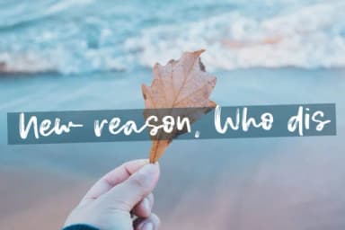 Canary Font by Studio_Art — Script Handwritten Font — thumbnail 4