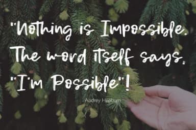 Canary Font by Studio_Art — Script Handwritten Font — thumbnail 5