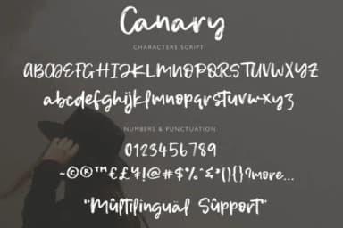 Canary Font by Studio_Art — Script Handwritten Font — thumbnail 7