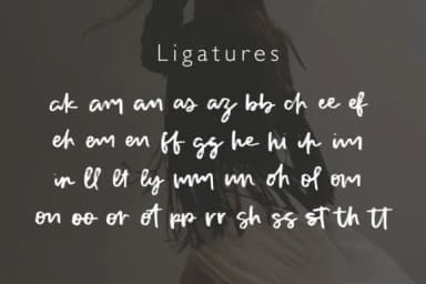 Canary Font by Studio_Art — Script Handwritten Font — thumbnail 8