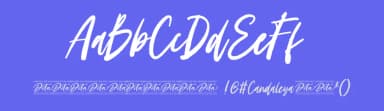Candaleya by Ditatype — Script Handwritten Font — thumbnail 3