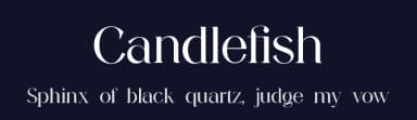 Candlefish by UI Creative — Serif Font — thumbnail 2