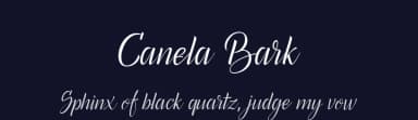 Canela Bark by Måns Grebäck — Script Handwritten Font — thumbnail 2