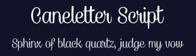 Caneletter Script by Måns Grebäck — Script Handwritten Font — thumbnail 2