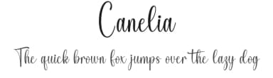Canelia by Wahyu Studio — Script Handwritten Font — thumbnail 1