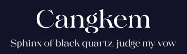 Cangkem by BrandSemut — Serif Font — thumbnail 2