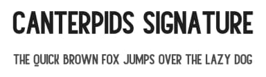 Canterpids Signature by Vz Type — Script Handwritten Font — thumbnail 1
