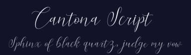 Cantona Script by Måns Grebäck — Script Handwritten Font — thumbnail 2