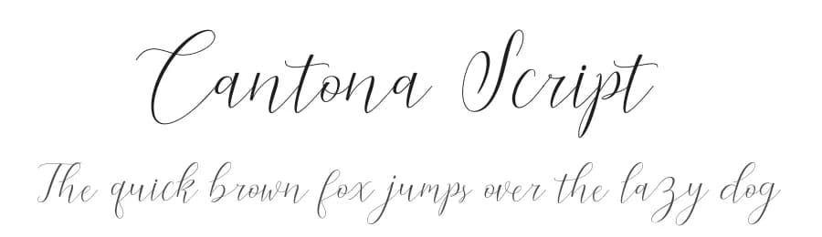 Cantona Script by Måns Grebäck — Script Handwritten Font