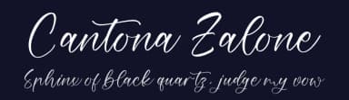 Cantona Zalone by Perspectype Studio - Letterena.com — Script Handwritten Font — thumbnail 2