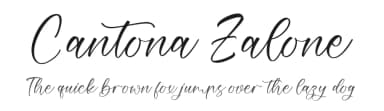 Cantona Zalone by Perspectype Studio - Letterena.com — Script Handwritten Font — thumbnail 1