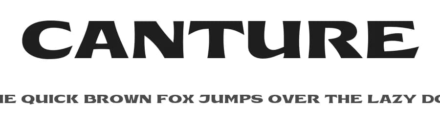 Canture by HENRIavecunK Type Co — Serif Font