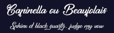 Capinella ou Beaujolais by Cat.B — Script Handwritten Font — thumbnail 2