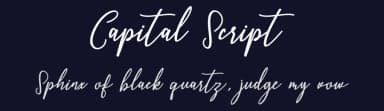 Capital Script by Bandit handmade — Script Handwritten Font — thumbnail 2