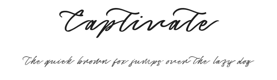 Captivate by Letterhend Studio — Script Handwritten Font