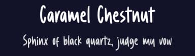Caramel Chestnut by Letterhend Studio — Script Handwritten Font — thumbnail 2