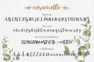 Caramello Font by letterzhe — Script Handwritten Font — thumbnail 6