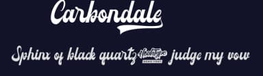 Carbondale by Noah Type — Script Handwritten Font — thumbnail 2