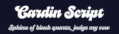 Cardin Script by Ilham Herry — Script Handwritten Font — thumbnail 2