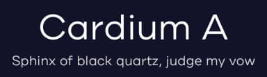 Cardium A by Yellow Design Studio — Sans Serif Font — thumbnail 2