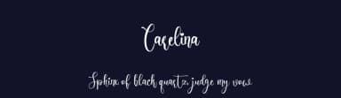 Carelina by erlosDESIGN — Script Handwritten Font — thumbnail 2