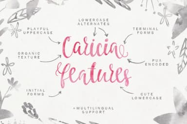 Caricia Font by Favete Art — Script Handwritten Font — thumbnail 2