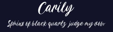 Carily by Angin Studio — Script Handwritten Font — thumbnail 2