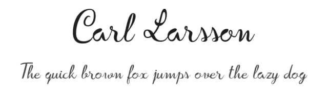 Carl Larsson by Yves Michel — Script Handwritten Font