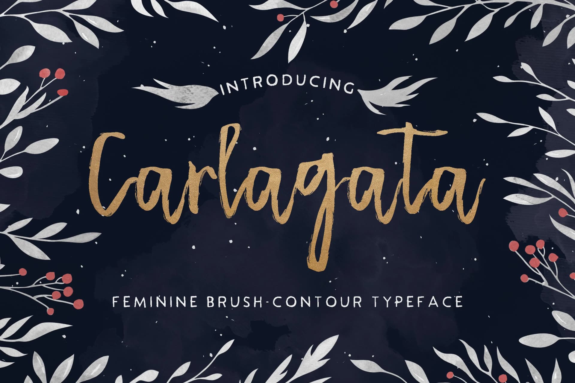 Carlagata Font by Blue Robin Design Shop — Script Handwritten Font