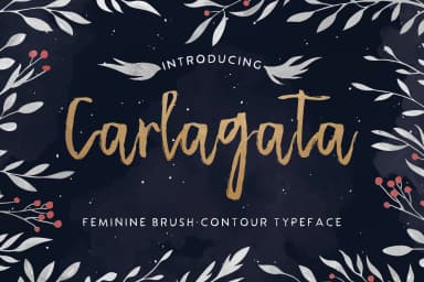 Carlagata Font by Blue Robin Design Shop — Script Handwritten Font — thumbnail 1