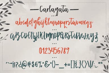 Carlagata Font by Blue Robin Design Shop — Script Handwritten Font — thumbnail 6