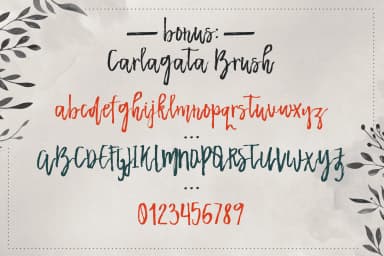 Carlagata Font by Blue Robin Design Shop — Script Handwritten Font — thumbnail 8