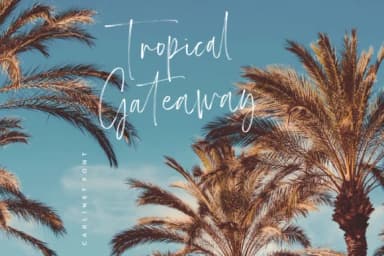 Carlinet Font by Balpirick — Script Handwritten Font — thumbnail 3