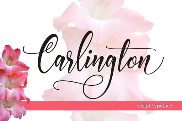 Carlington Font by Byuly Ayika — Script Handwritten Font