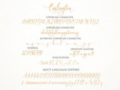 Carlington Font by Byuly Ayika — Script Handwritten Font — thumbnail 8