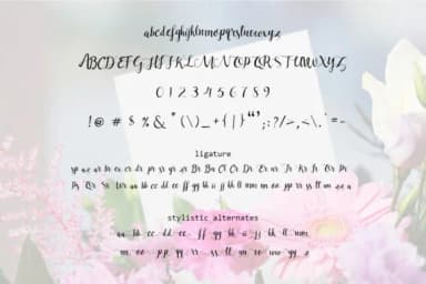 Carmilla Font by xdCreative — Script Handwritten Font — thumbnail 6