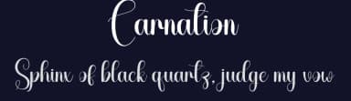 Carnation by Scratchones — Script Handwritten Font — thumbnail 2