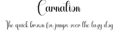 Carnation by Scratchones — Script Handwritten Font — thumbnail 1