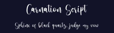Carnation Script by Ferdiansyah — Script Handwritten Font — thumbnail 2