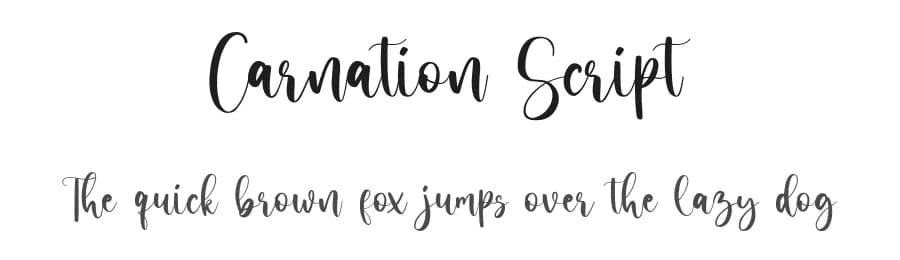 Carnation Script by Ferdiansyah — Script Handwritten Font